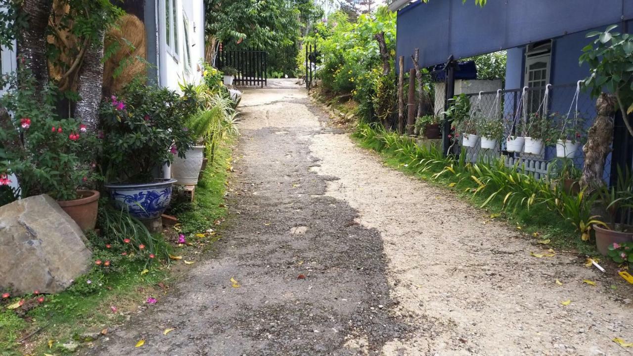 Homestay Doc Tinh Dalat Exterior foto